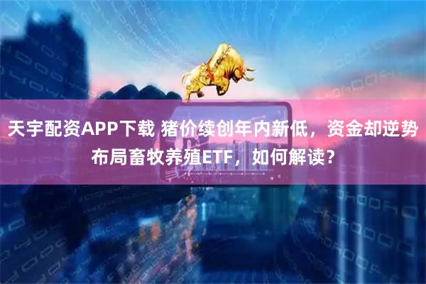 天宇配资APP下载 猪价续创年内新低，资金却逆势布局畜牧养殖ETF，如何解读？